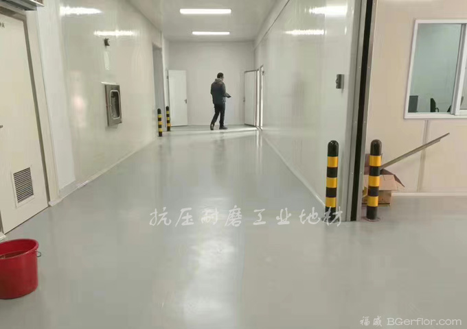 無(wú)塵潔凈車(chē)間地板地面材料